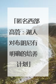 匿名西部高管：湖人对布朗尼有明确的培养计划